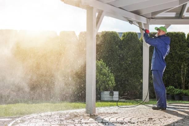 Best Pool Deck Cleaning  in Armada, MI